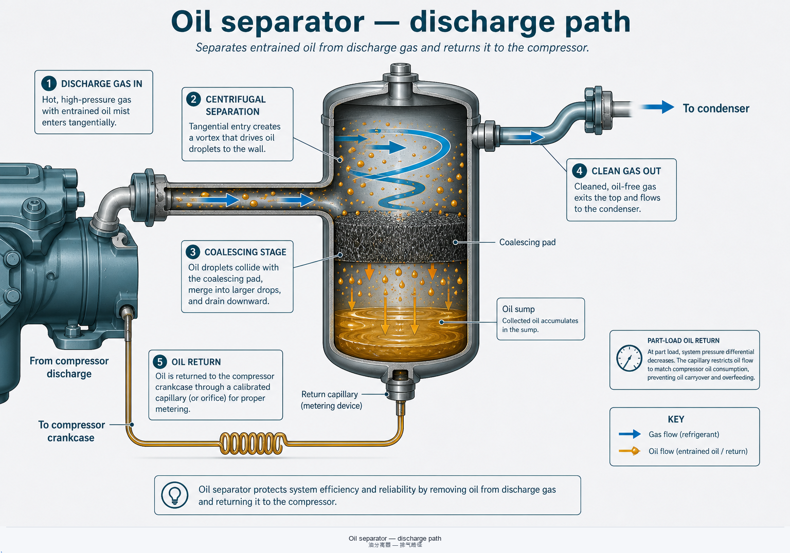 Oil separator discharge path